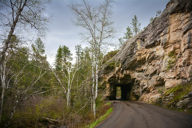 Custer State Park